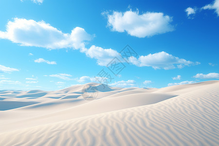 阳光明媚的新生的沙丘沙漠景观设计图片