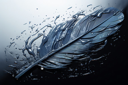 水面上漂浮的蓝色羽毛图片