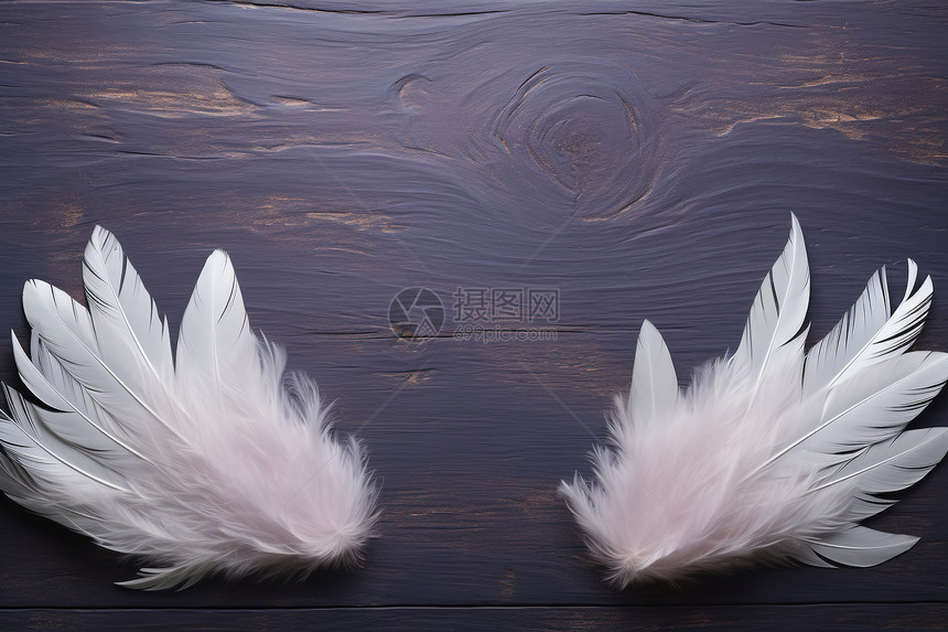 创意地板上的羽毛翅膀图片