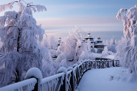 寒冷冬季的白雪公园高清图片