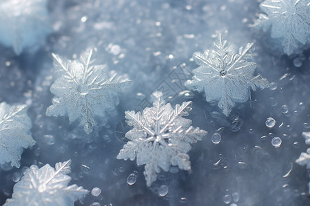 透明飘落素材冰雪飘落水珠凝结背景