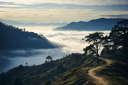 美丽山林中的迷雾小径图片