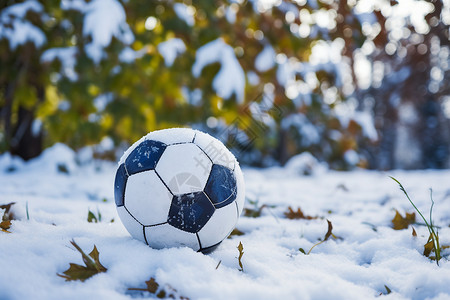 足球在冬日的草地上高清图片