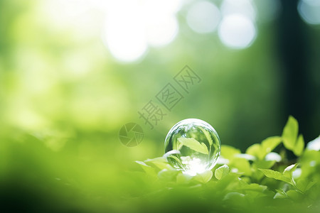 嫩绿草地上透明的水球背景图片