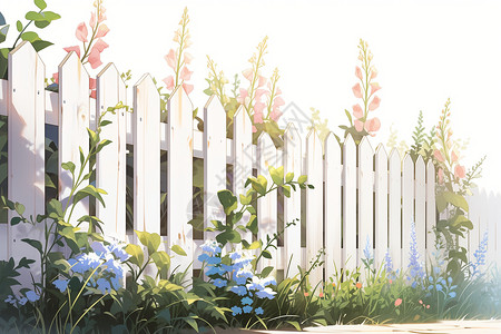 乡村栅栏旁的花朵插图背景图片