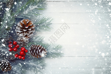 雪树枝装饰冬季圣诞树装饰背景设计图片