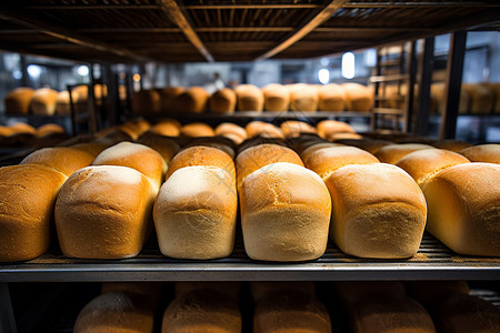 工厂的面包图片