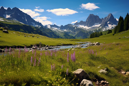 徒步旅行的阿尔卑斯山脉景观图片