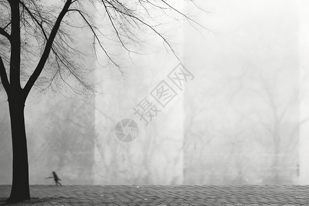 黑白孤独极简风格的树木倒影背景设计图片