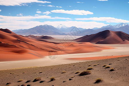 高原上的沙漠风光背景图片