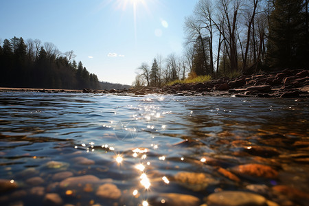 阳光照耀下的河流图片