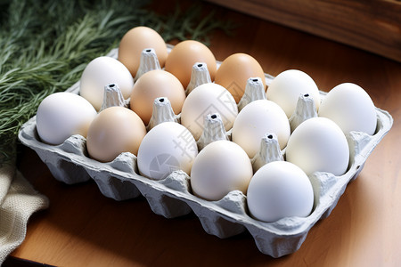 蛋白质丰富的鸡蛋食品高清图片