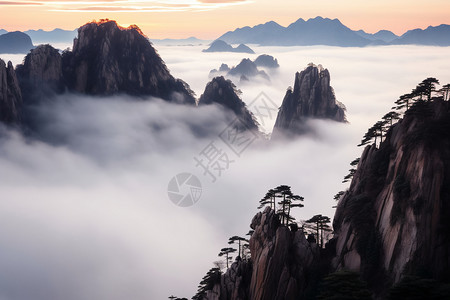 日出黄山云海的美丽景观高清图片