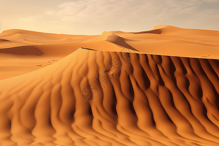 美丽壮观的撒哈拉沙漠景观图片