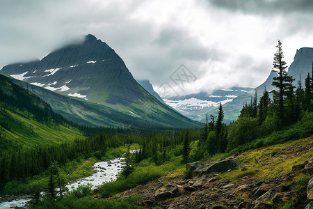 山脉与森林的自然美景图片