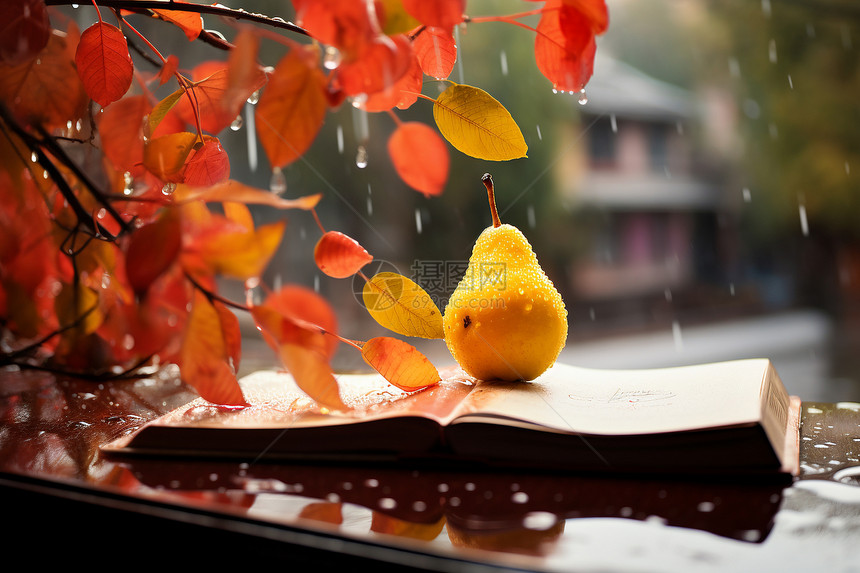 秋天雨中的叶子和水果图片