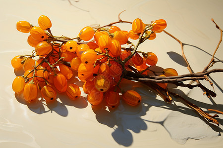 沙棘浆果一枝橙色浆果插画