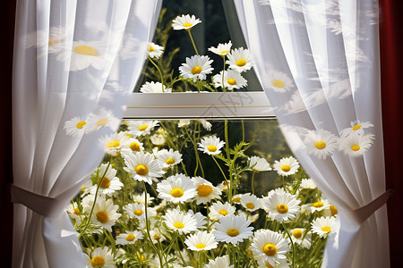 窗户外的鲜花背景图片