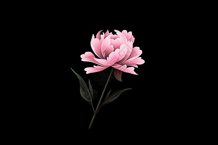 单个花草素材孤独粉色牡丹插画