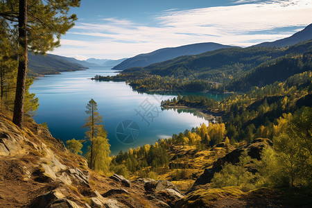 美丽的湖泊青山绿树背景图片