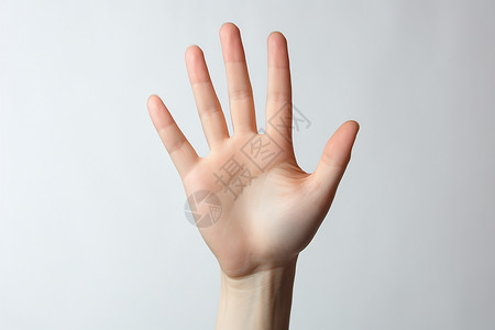 手掌启动素材伸出手掌在白色背景下背景