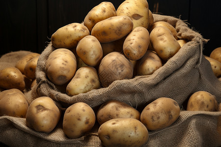 农田丰收的土豆图片