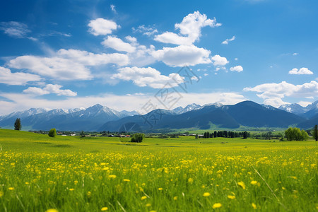 草地远山绚丽农田绿野山河背景