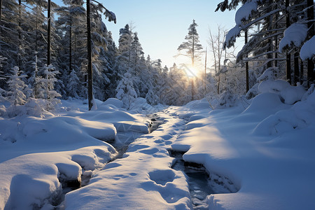 白银世界冬日美景图片