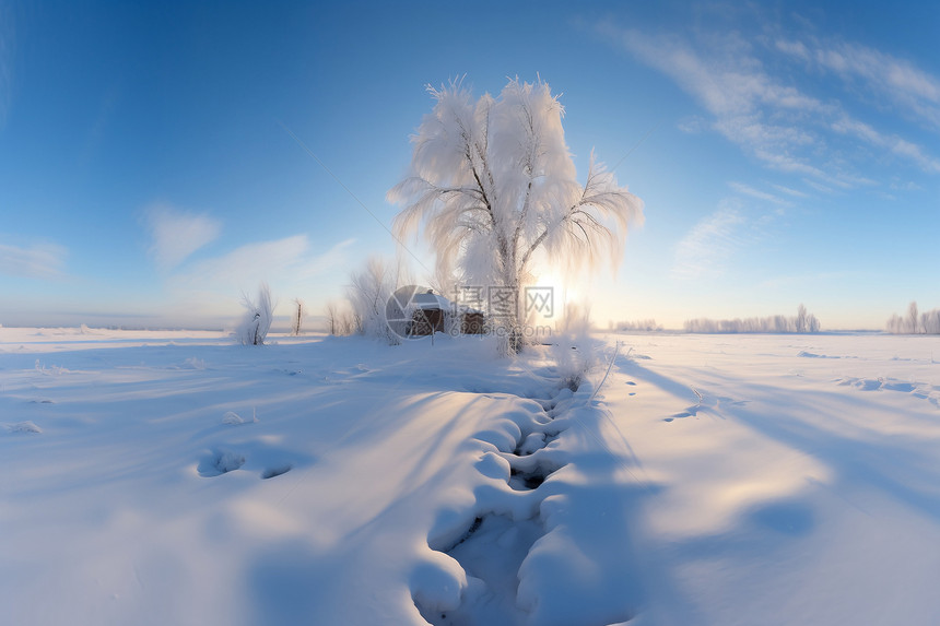 冬日白雪乡村图片
