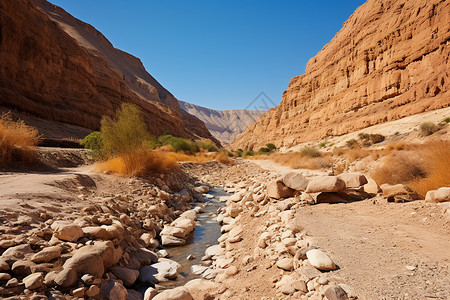 一条河流穿越沙漠图片