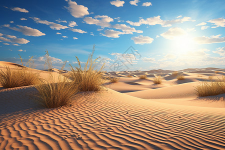 沙漠绿洲沙丘图片