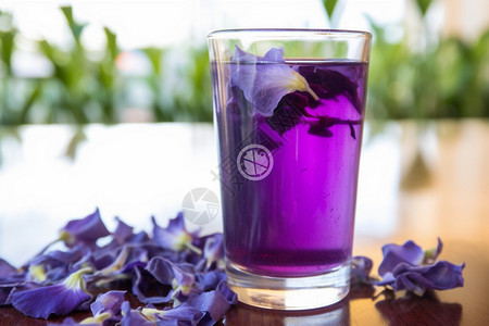 紫色清爽的酒杯酒文字高清图片