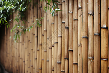 寺院前的竹篱笆背景图片