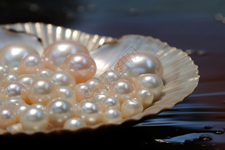 贝壳光泽珍珠壳内的珍珠背景