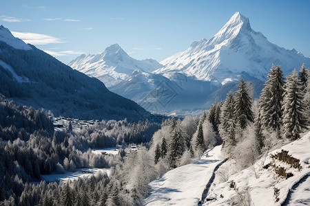 雪山覆盖的森林山脉图片