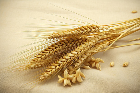 桌子上的小麦谷物图片