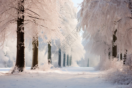 冬日仙境背景图片
