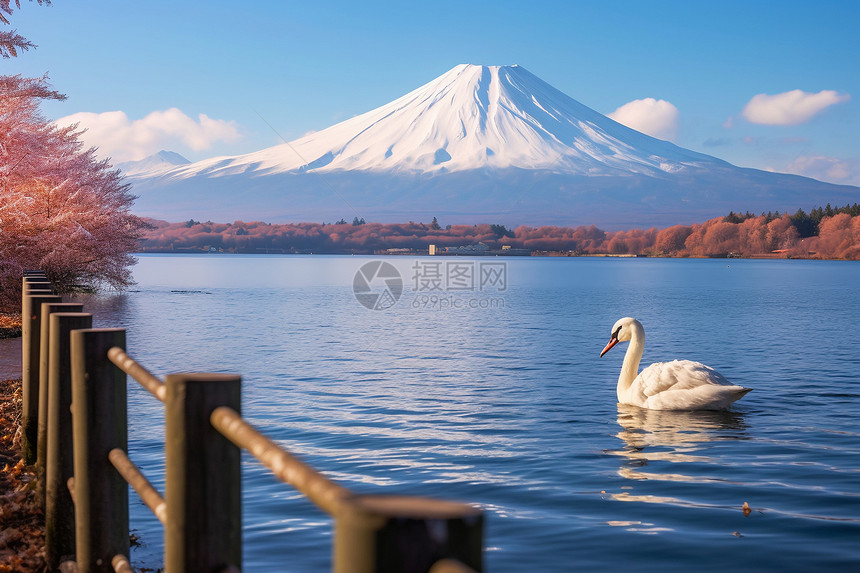 美丽的富士山图片