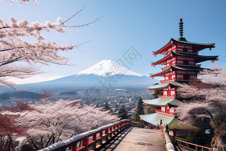 富士山和樱花美丽的樱花盛开背景