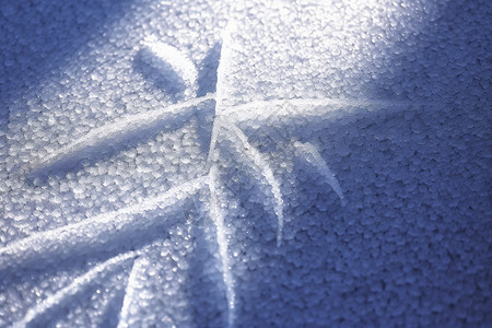 雪地上的水晶高清图片