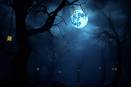 森林中月亮月光下的幽秘森林背景