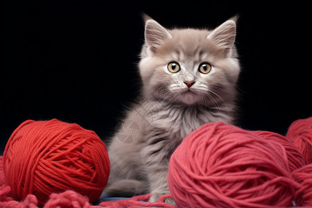 小猫和毛线球背景图片