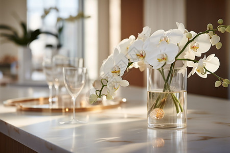 餐桌上的白色兰花背景图片