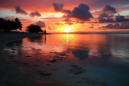 夕阳下的沙滩行走者图片