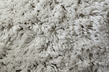 羊毛地毯图片