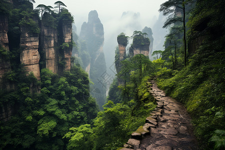 群山环绕的山径背景