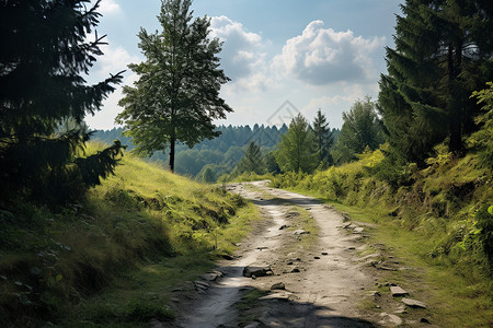 碎石路自然之路背景