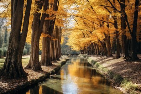 秋日的河流图片