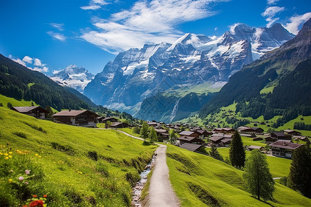 瑞士木屋夏季充满生机的高山景观背景