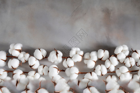 蓬松柔软的棉花背景图片